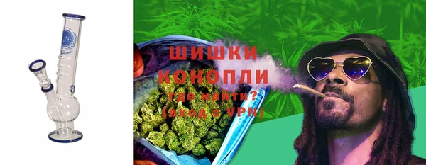 ПСИЛОЦИБИНОВЫЕ ГРИБЫ Балабаново