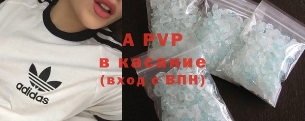 ПСИЛОЦИБИНОВЫЕ ГРИБЫ Балабаново