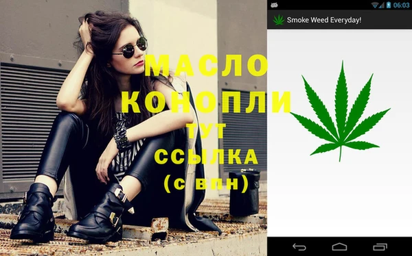 сатива Баксан