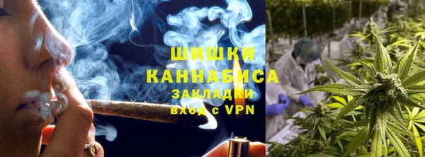 сатива Баксан