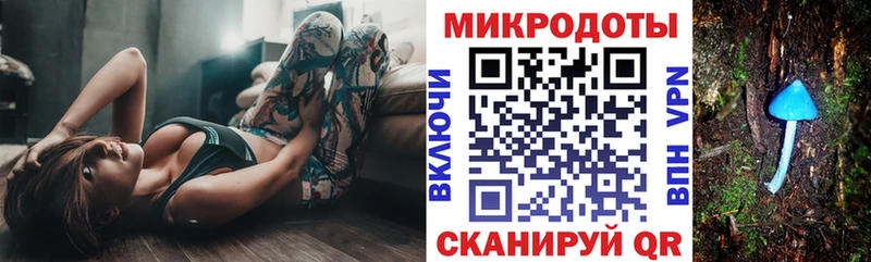 закладки  Нижняя Салда  Псилоцибиновые грибы Psilocybe 