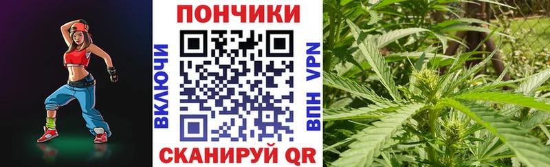 купить закладку  Нижняя Салда  Канабис планчик 